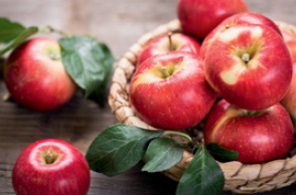 Obst, Gemse, Nsse, Vollkornriegel, Sfte und Wasser