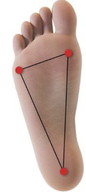 Abb. 62 Ideale Belastungspunkte am Fu�