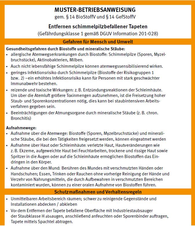 Muster-Betriebsanweisungen Tapeten entfernen