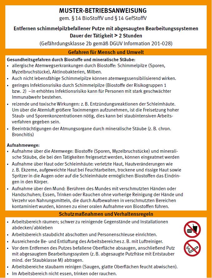 Muster-Betriebsanweisungen Putze entfernen