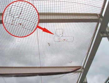 Beschädigte Maschen; Reparatur des Netzes ist so 
nicht zulässig